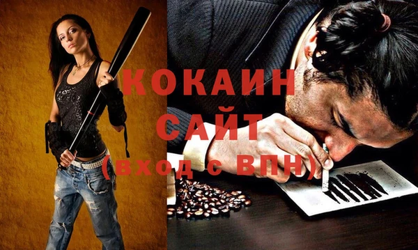 крисы Кинешма