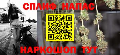 гашик Тверь