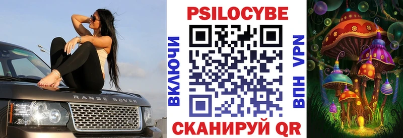 как найти закладки Пятигорск Псилоцибиновые грибы Psilocybe
