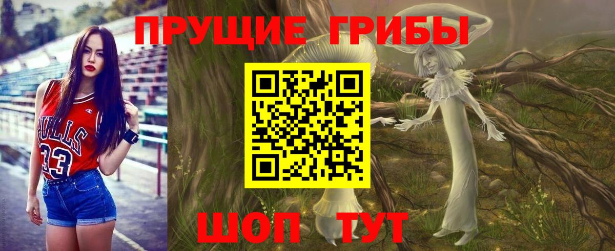 Псилоцибиновые грибы MAGIC MUSHROOMS  Вход с VPN  Пятигорск 