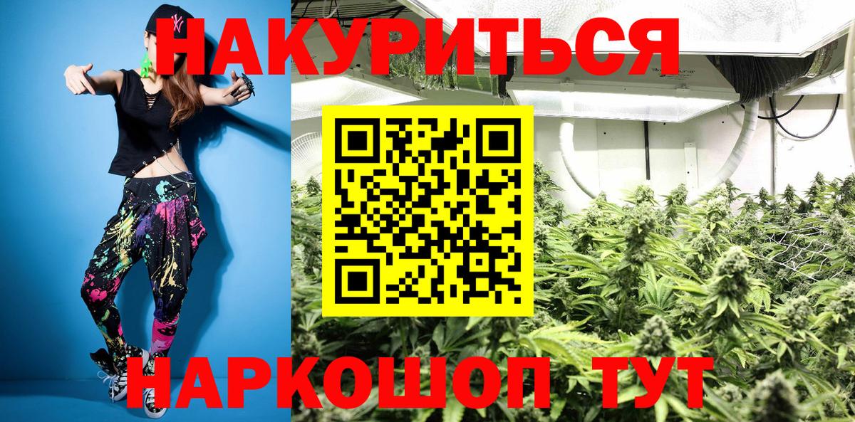 Марихуана марихуана Пятигорск